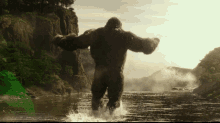 IMG_1015.gif