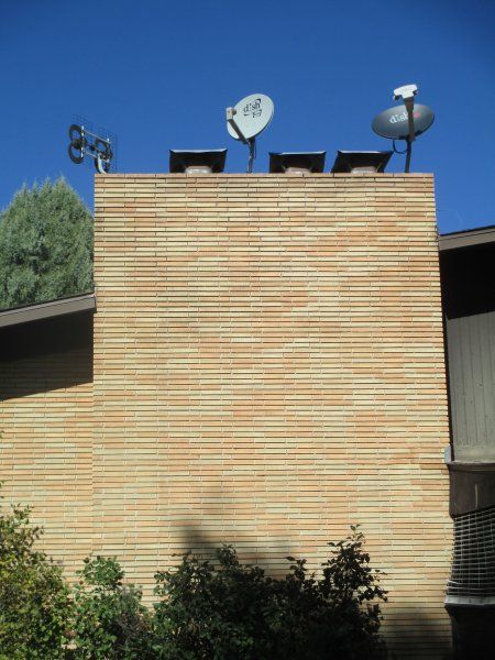 IMG_1337.jpg