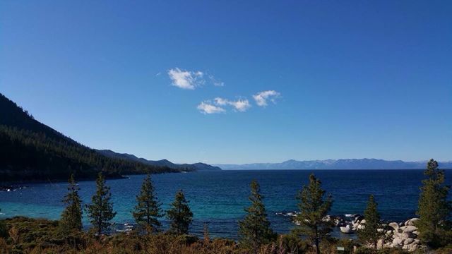 IMG_1475360204.279953.jpg