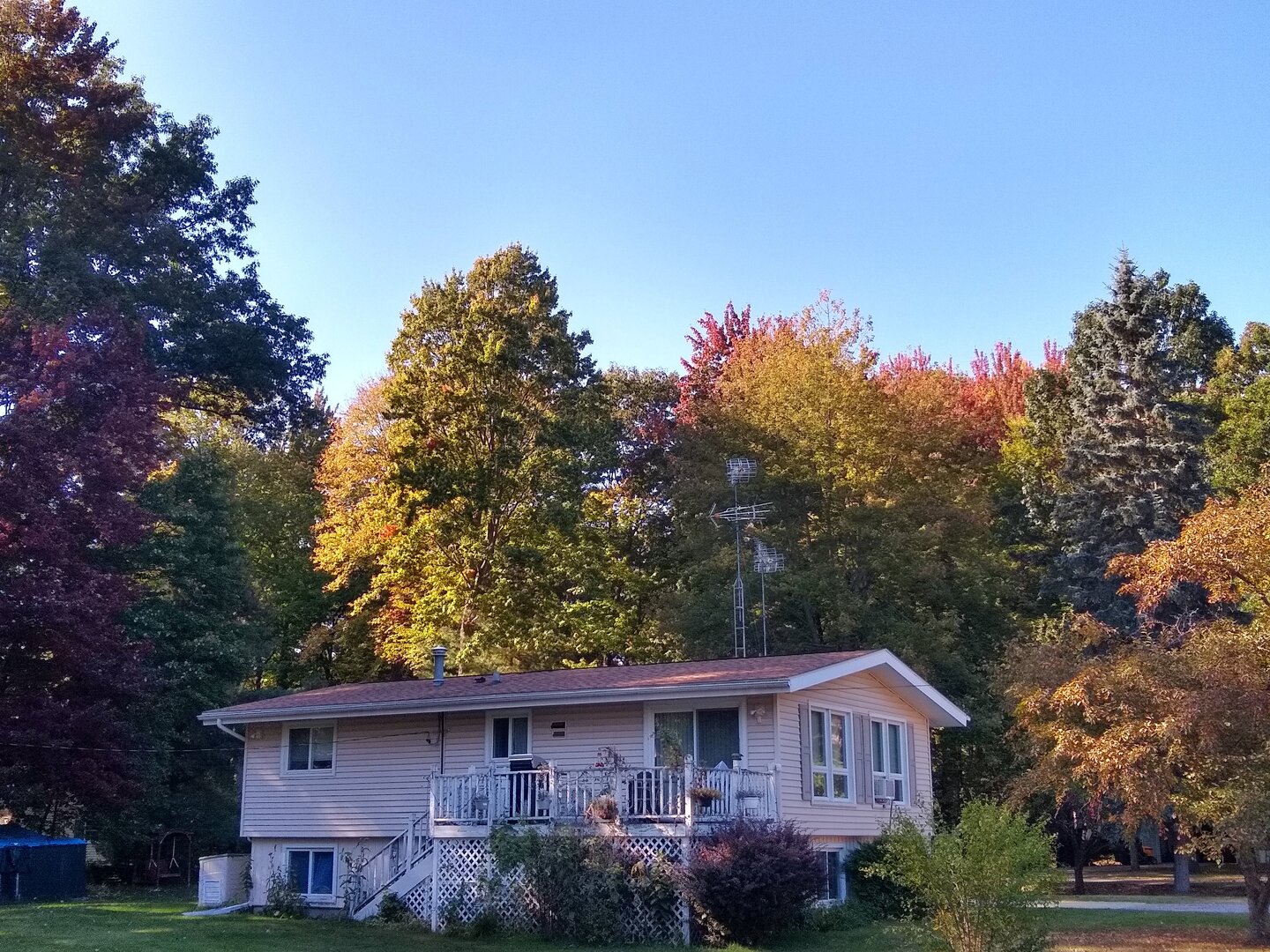 IMG_20231003_155525432_HDR.jpg