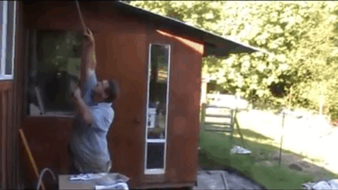 IMG_6637.GIF