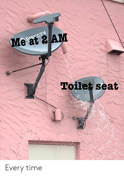 me-at-2-am-directv-toilet-seat-every-time-58524694.png