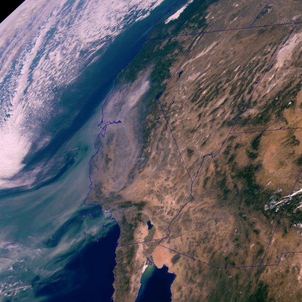 Meso1_595150225633023_Color.jpg