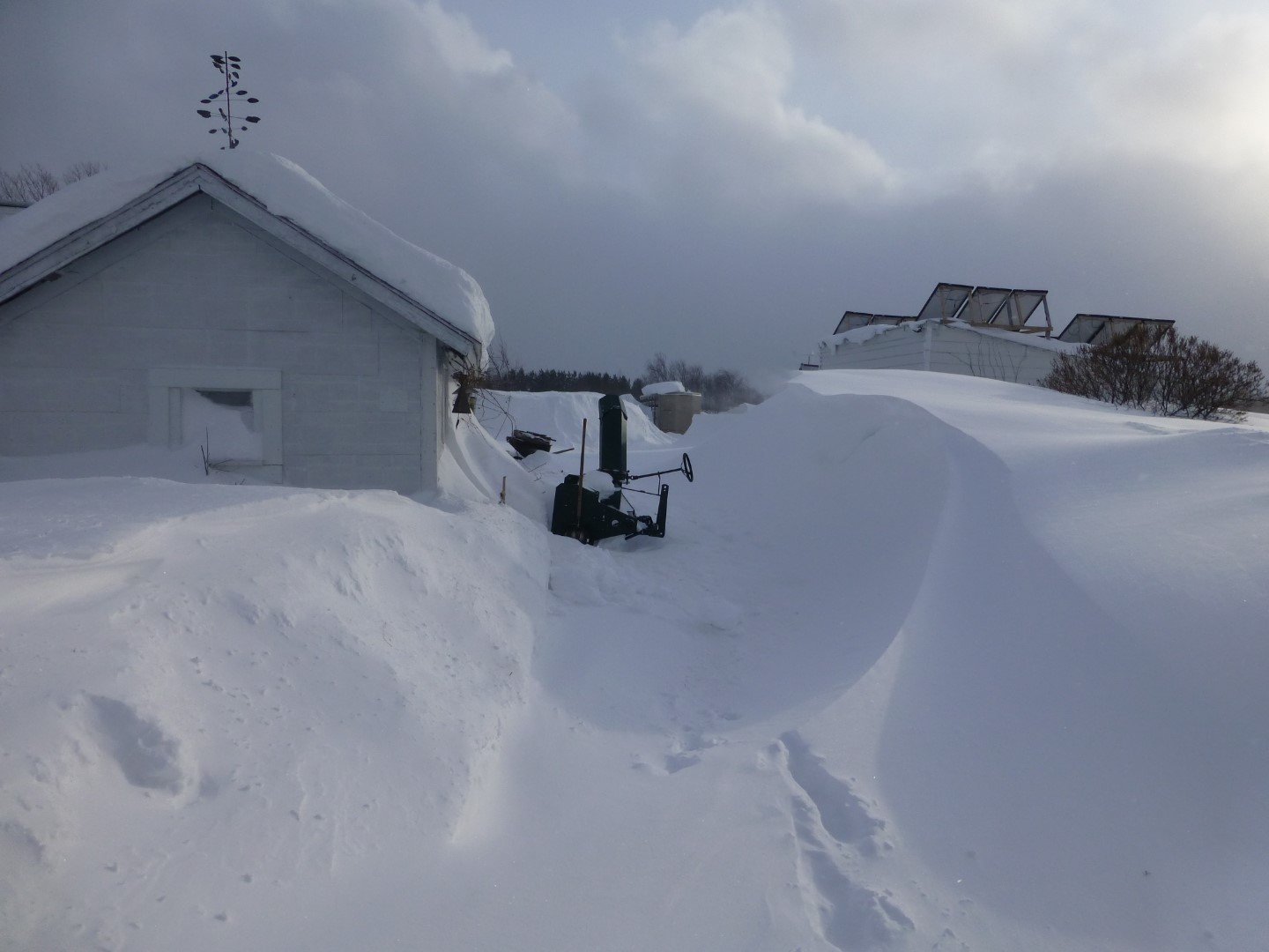 P1010954 - Copy (Large).JPG