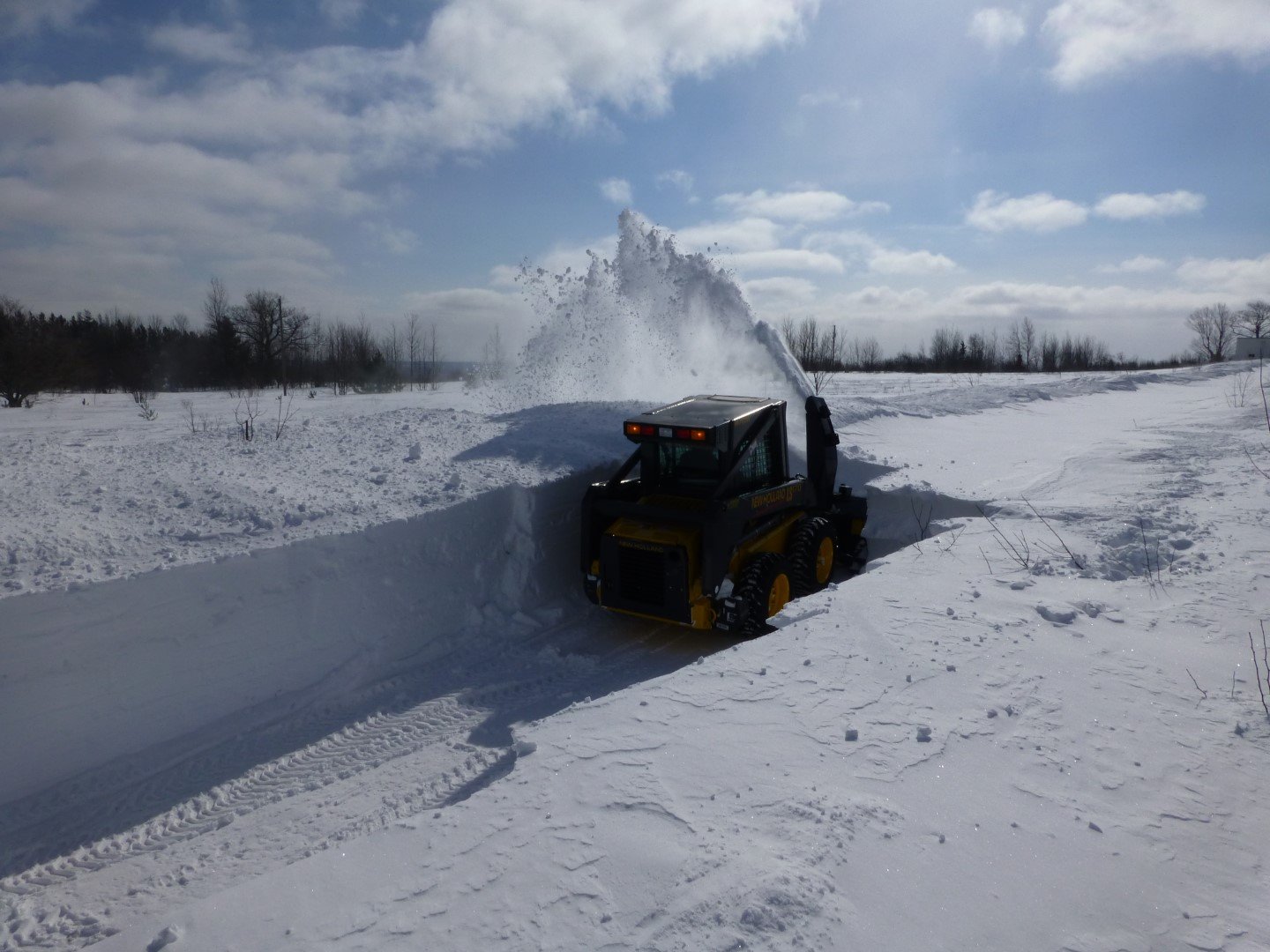 P1020038 - Copy (Large).JPG