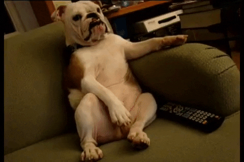puppy.gif