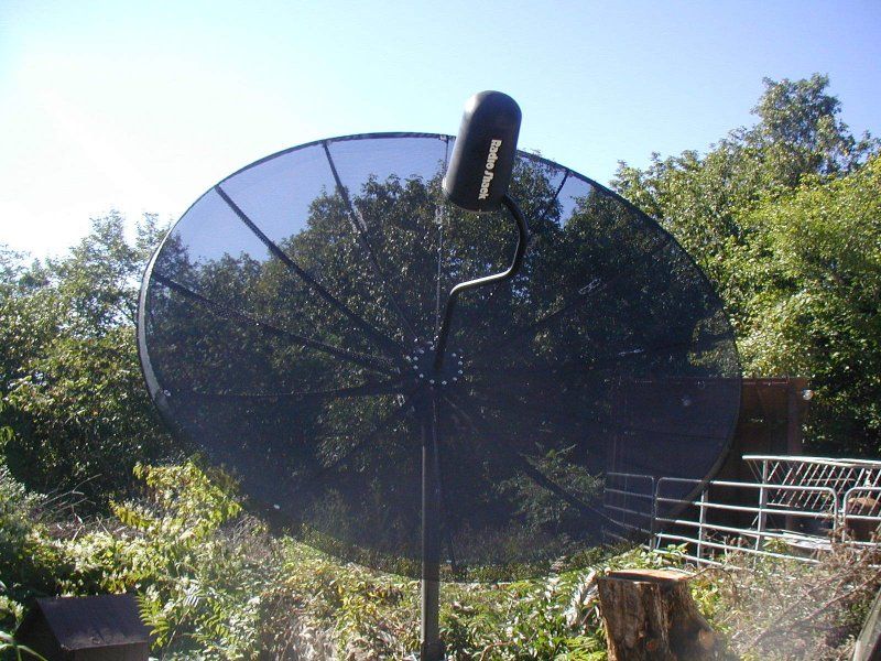 rs dish.JPG