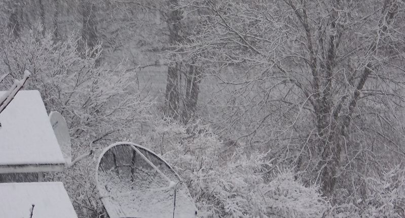 Snowy Dishes.jpg