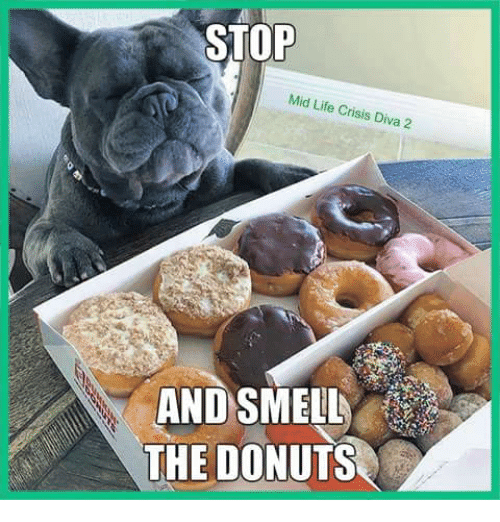 stop-mid-life-crisis-diva-2-and-smell-the-donuts-11978248.png