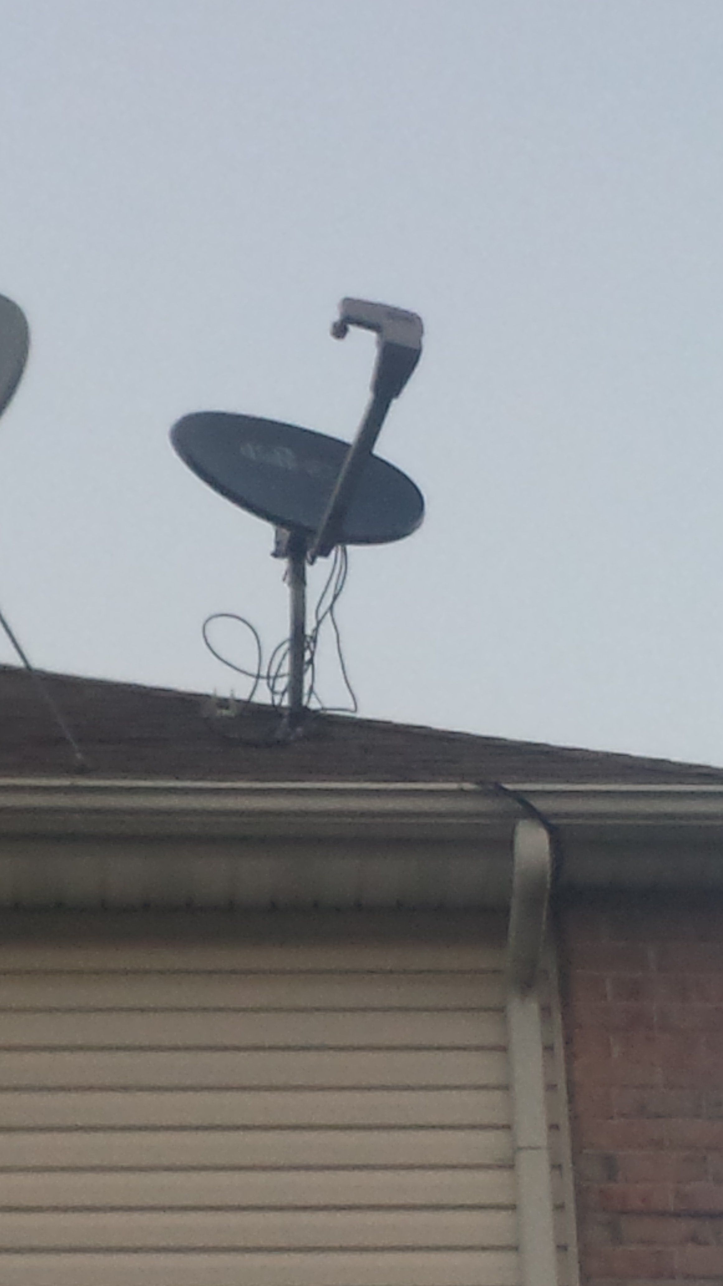 Ugly Dish.jpg