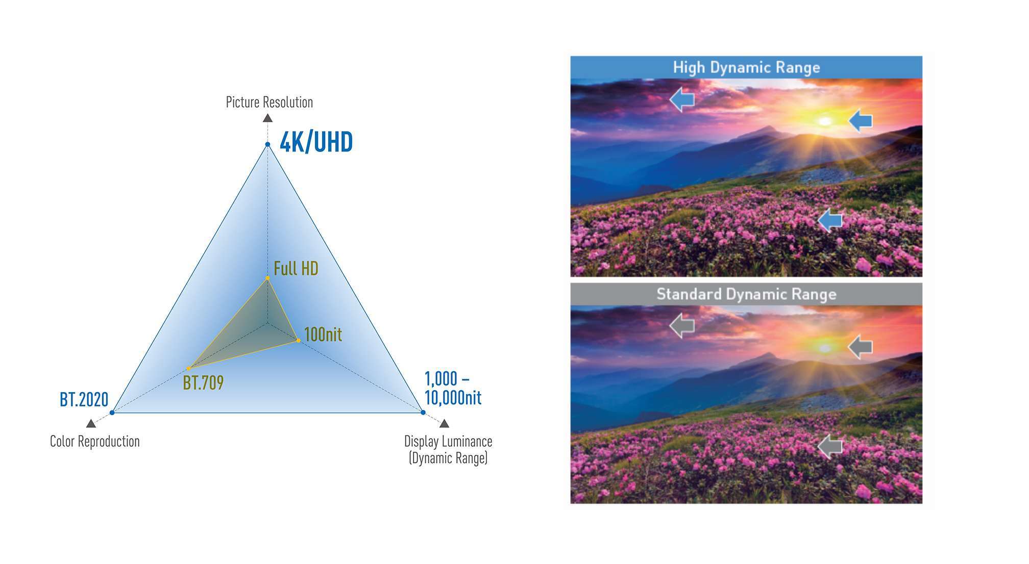 UHD_BD_dynamicrange_and_effect.jpg