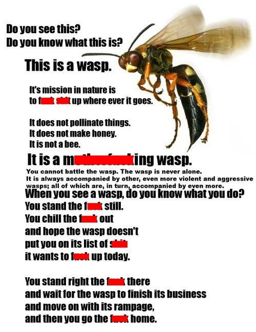 wasp rant 1.jpg