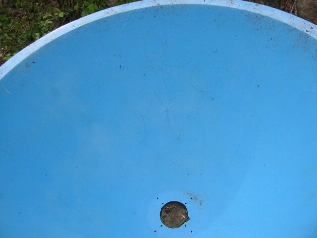 IMG_1183.JPG