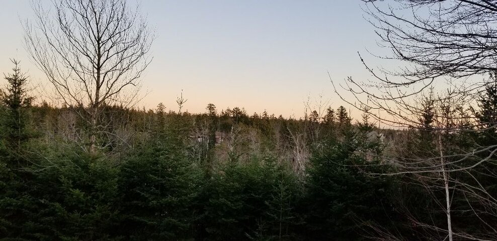 20191123_162927_resized.jpg
