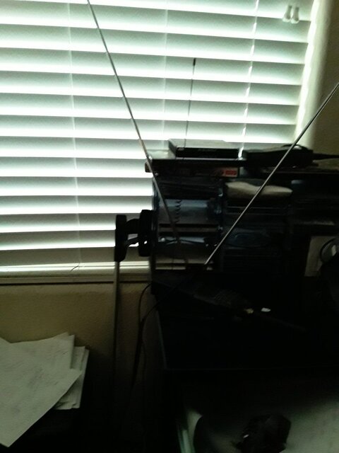 20200131_074045.jpg