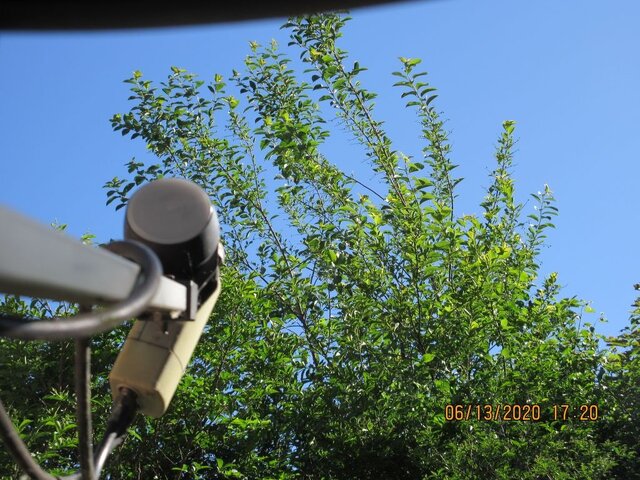thumb_IMG_5569_1024.jpg