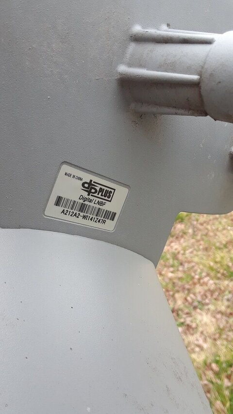 DishPic1.jpg