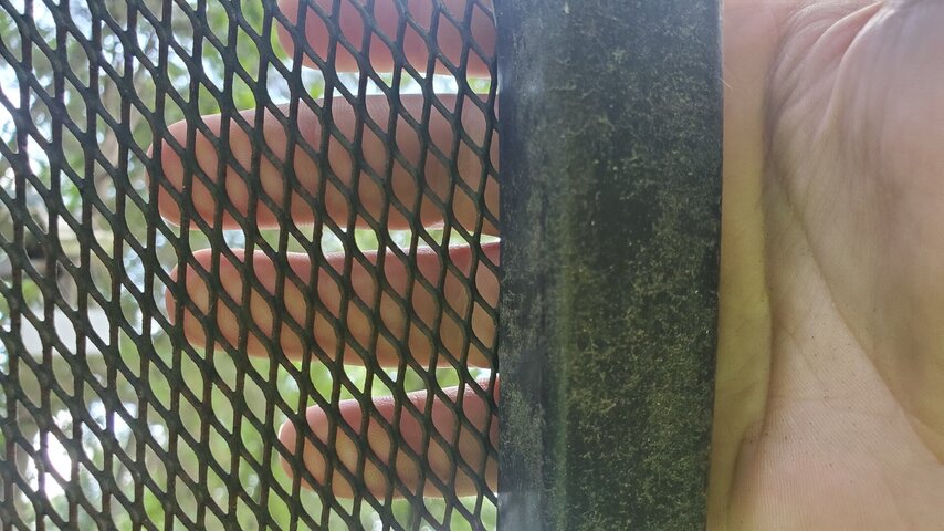 20210629_143848.jpg