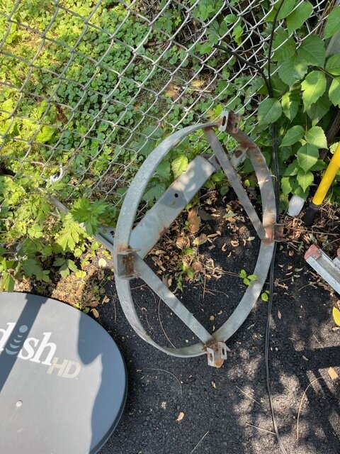 image7.jpeg