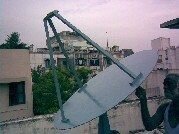dish.jpg