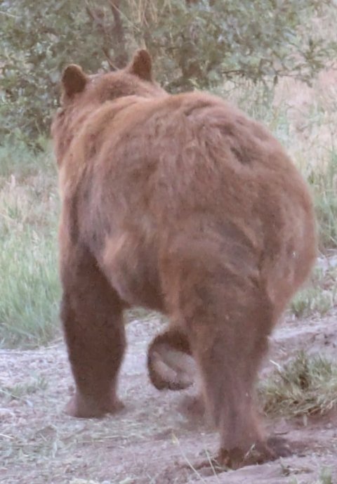 PXL_20250705_022434701~2.jpg