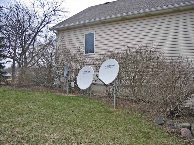 dish garden.jpg