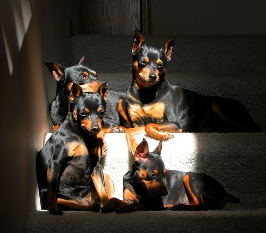 4 Blackgirls.JPG
