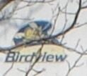 birdview-solid-logo1.jpg birdview-solid-logo1.jpg