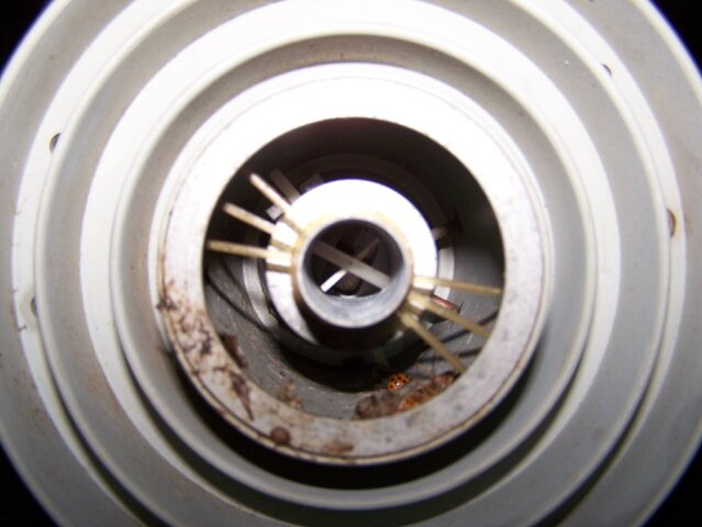 000_0271.JPG
