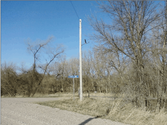 ScreenHunter_06 Mar. 30 09.39.gif