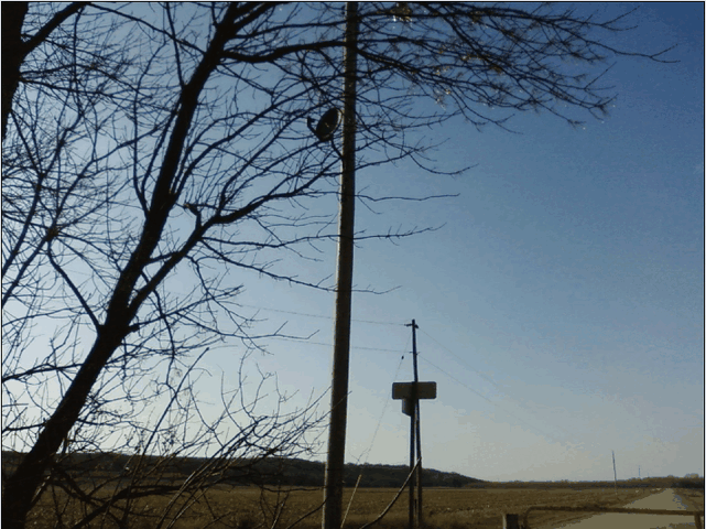 ScreenHunter_08 Mar. 30 09.40.gif
