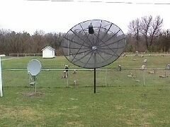 dish.jpg