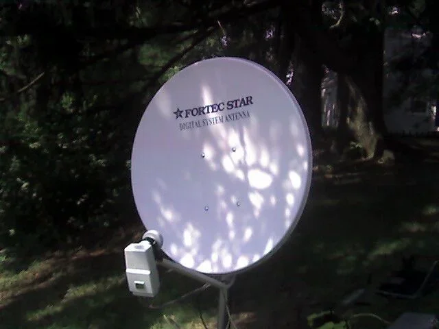 dish1.webp