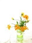 flowers.jpg
