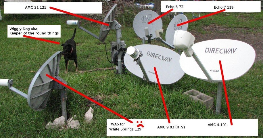 dishes defined3.jpg