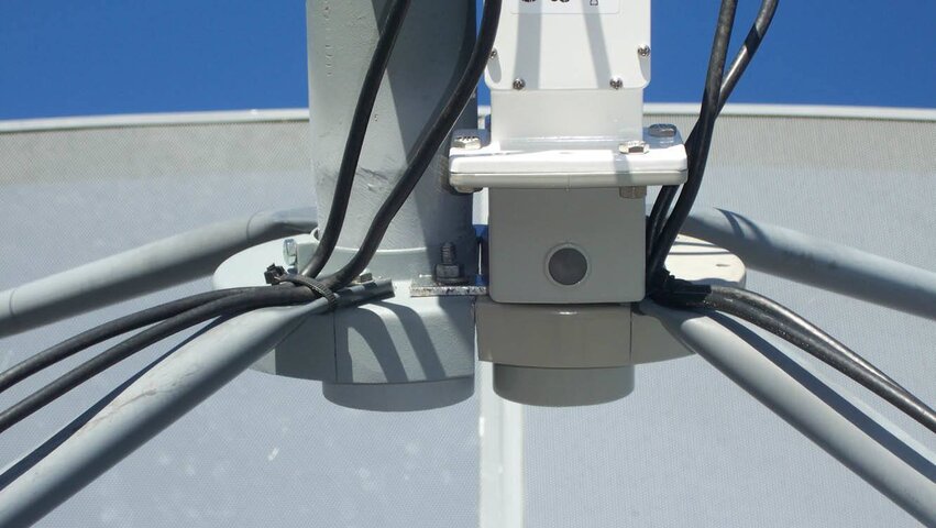 Closeup.jpg