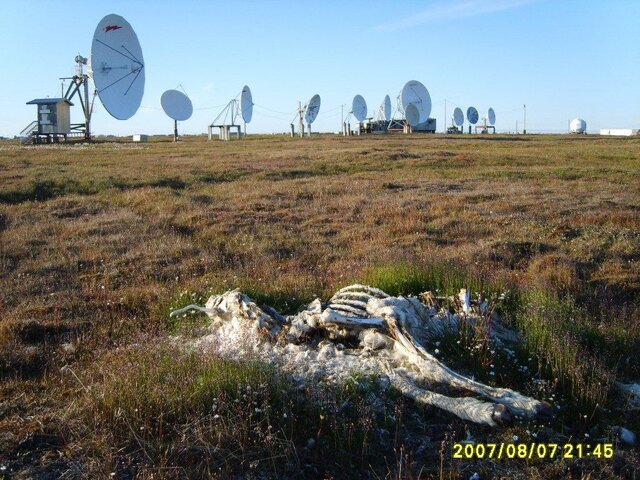 S8000752.JPG