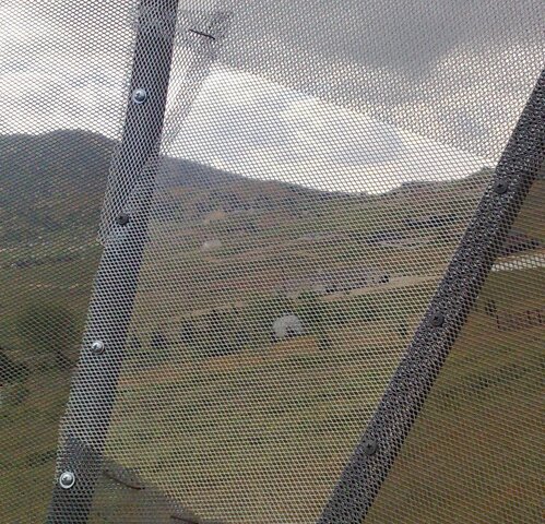 dish3b.jpg