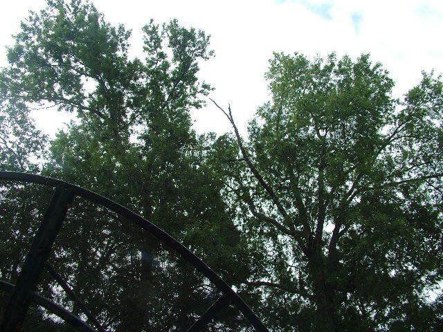 DSCF6884.JPG