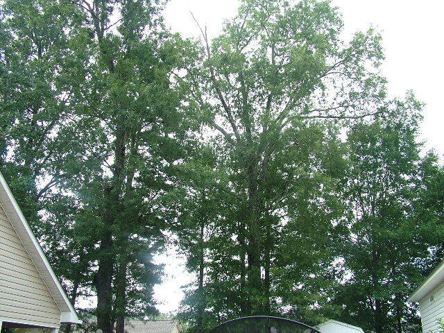 DSCF6890.JPG