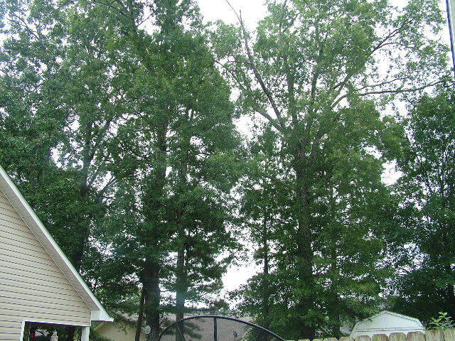 DSCF6891.JPG