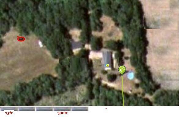 dish spot.JPG dish spot.JPG