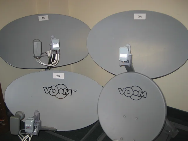 Voom Dishes.webp