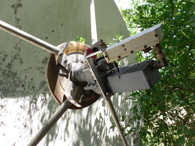 SDC10337.JPG