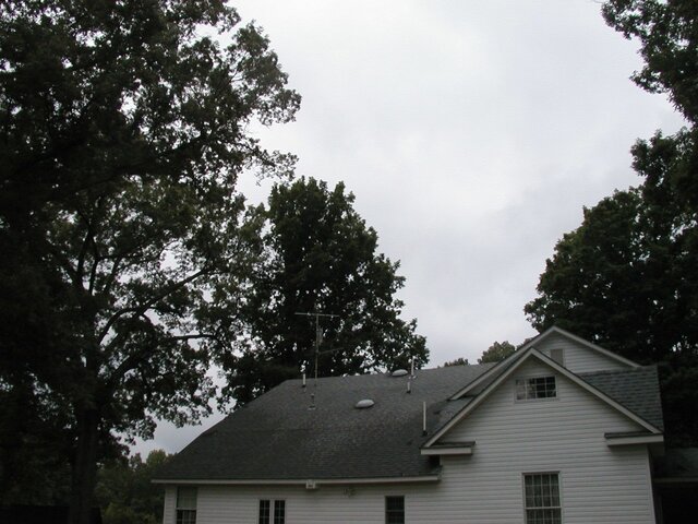 P1010008.JPG
