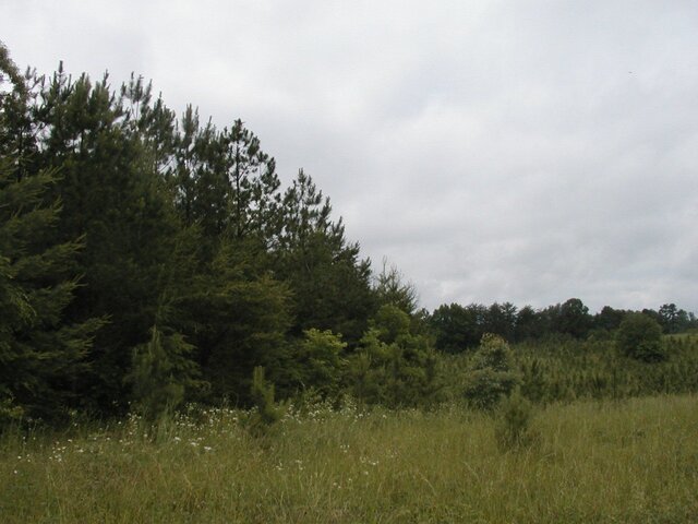 P1010009.JPG