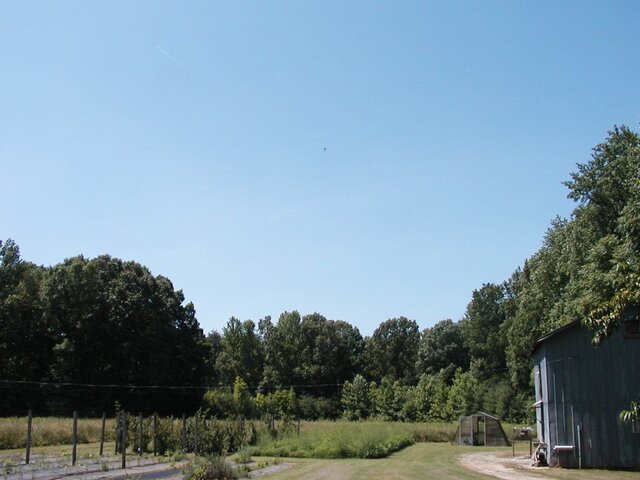 P1010008.JPG