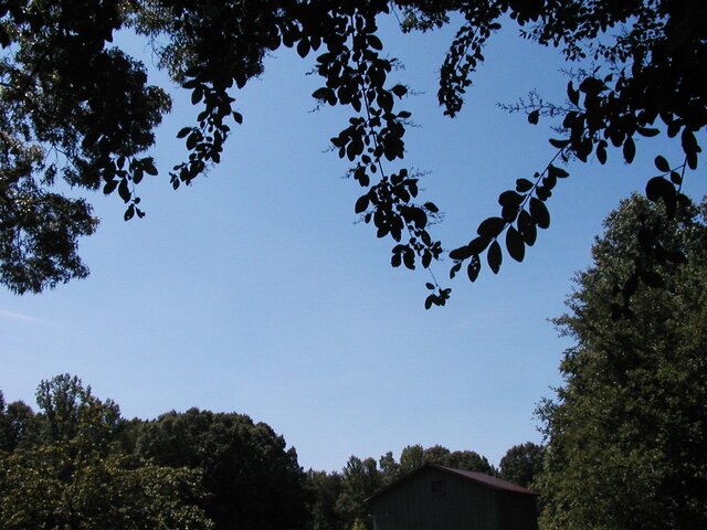 P1010006.JPG