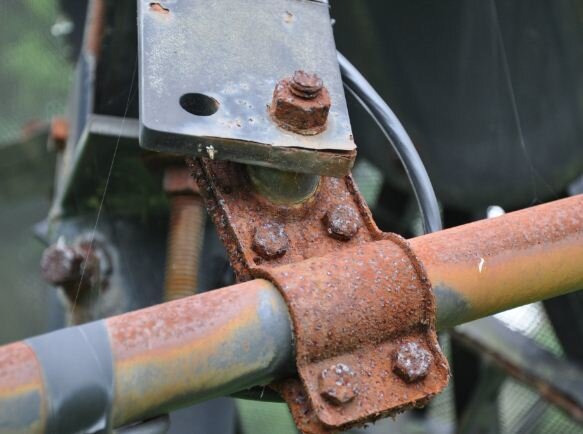 Rusty.JPG Rusty.JPG