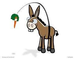 donkeyandthecarrot_8961-35.jpg
